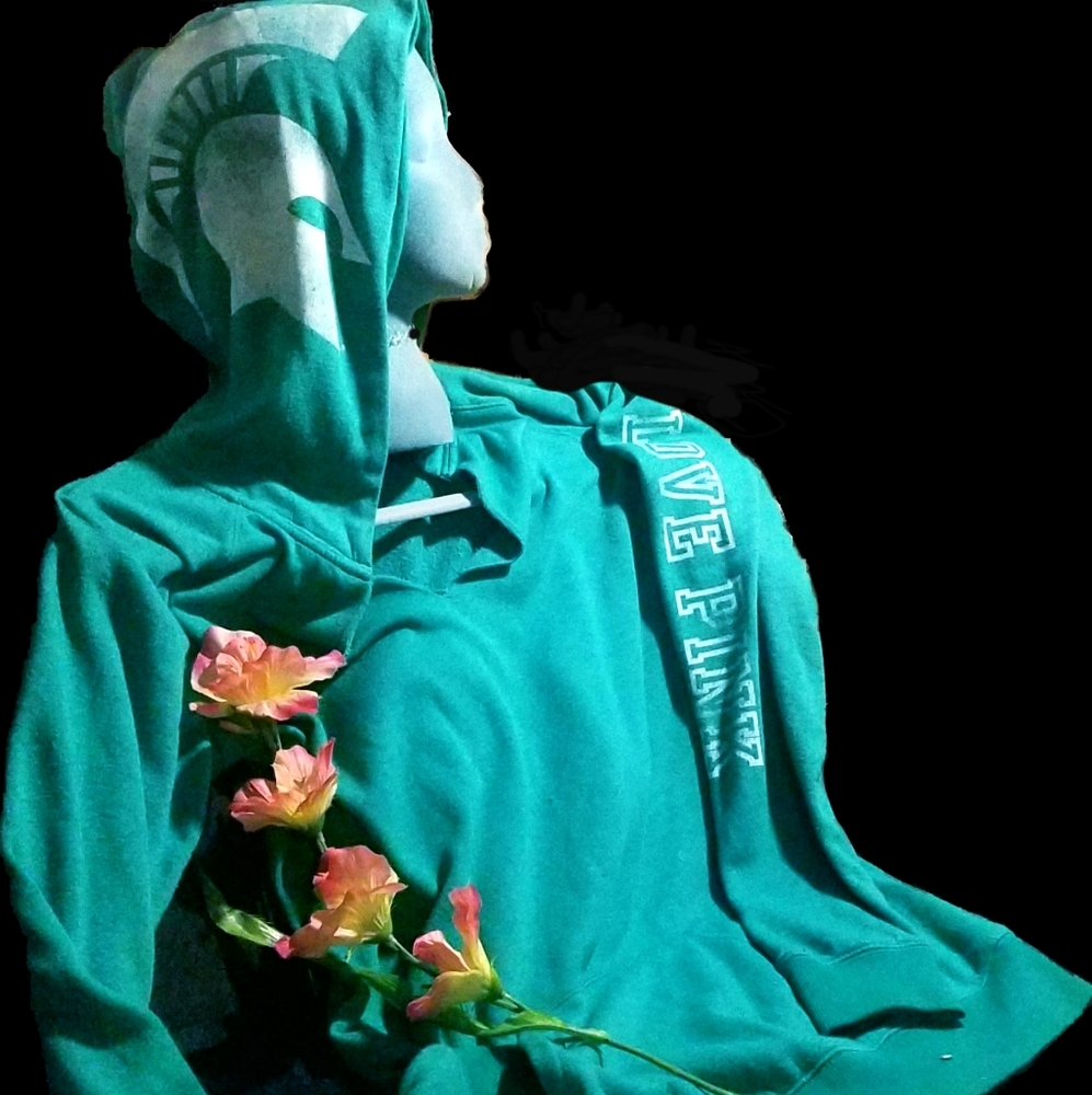 Victoria Secrets Pink Trogan Hoodie